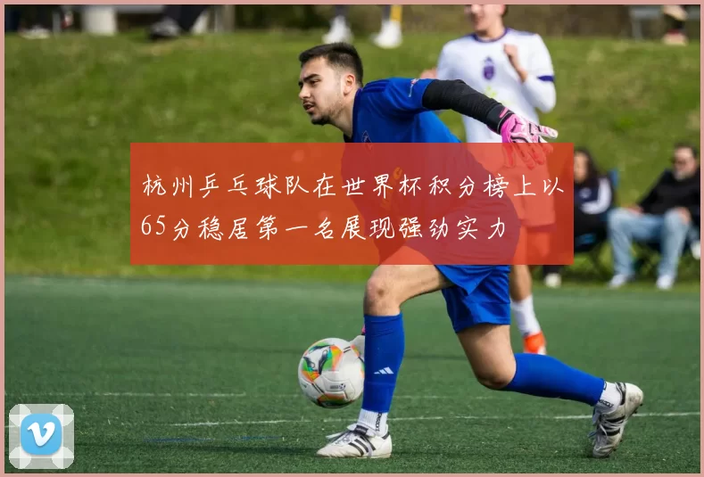 杭州乒乓球队在世界杯积分榜上以65分稳居第一名展现强劲实力