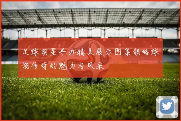 足球明星手办精美展示图集领略球场传奇的魅力与风采